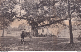 A17-78) FORET DE RAMBOUILLET - LE CHENE BAUDET  - ATTELAGE - EN 1906 - ( 2 SCANS )  - Rambouillet