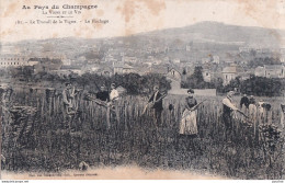 51) AU PAYS DU CHAMPAGNE - LA VIGNE ET LE VIN - LE TRAVAIL DE LA VIGNE - LE  HACHAGE - EDIT. CHOQUE , EPERNAY - 2 SCANS  - Autres & Non Classés