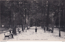 A10-40) MONT DE MARSAN -  LA PEPINIERE ALLEE CENTRALE - ANIMEE - ( 2 SCANS ) - Mont De Marsan