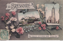 A3- 79) BRESSUIRE - JE VOUS ENVOIE CES FLEURS - EN 1907  - Bressuire