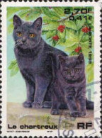 France Poste Obl Yv:3283 Mi:3424 Le Chartreux (Beau Cachet Rond) (Thème) - Big Cats (cats Of Prey)