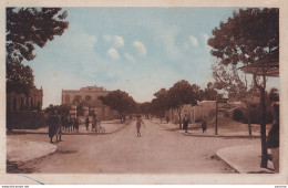 A25- NABEUL - TUNISIE - AVENUE PRESIDENT CARNOT - ANIMEE - HABITANTS -  ( 2 SCANS ) - Tunisie