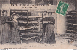 47) LA PRUNE D ' ENTE - SA PREPARATION - NOUVEAU SYSTEME DE CUISSON - SORTIE DE L ' ETUVE - EN 1908 - Other & Unclassified