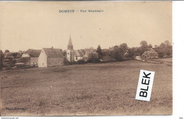 89 . Yonne : Domecy : Vue Générale . - Autres & Non Classés