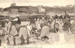 Cancale .  Le Travail Des Huitres Dans Le Parc - Cancale