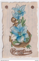 CARTE CELLULOID - BONNE ANNEE - AJOUTI DE FLEURS LYS + ANCRE MARINE - CORRESPONCE DE TOULON - ( 2 SCANS ) - Año Nuevo