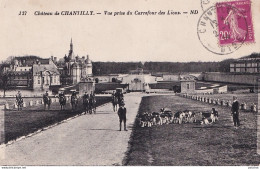 C12-60) CHATEAU DE CHANTILLY - VUE PRISE DU CARREFOUR DES LIONS - CHIENS DE CHASSE  - Chantilly