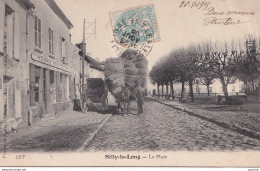 C5-60) SILLY LE LONG -  LA PLACE - ( ANIMATION ) - Other & Unclassified