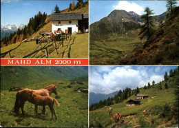 71484042 Mahd Fuerstenzell Alm Pferde Mahd Fuerstenzell - Autres & Non Classés