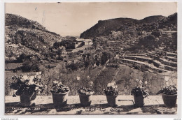 S15- VALLDEMOSA )VISTA DES DES DE LA CELDA DE CHOPIN - 1956 - ( 2 SCANS ) - Mallorca