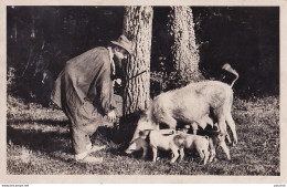 S13-24) PERIGUEUX - L'APPRENTISSAGE TOUT LE MONDE TRAVAIL A LA RECHERCHE DE LA TRUFFE  - ( 1955 - 2 SCANS ) - Périgueux