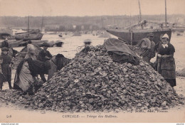 S6-35) CANCALE - TRIAGE DES HUITRES - ( ANIMEE - OSTREICULTURE - 2 SCANS ) - Cancale