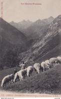 65) ARRENS - TROUPEAU EN MONTAGNE DANS LA VALLEE DE LABAT DE BUN - ( PATRE ET ENFANT - 2 SCANS ) - Autres & Non Classés