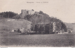 S2-09) MIREPOIX  (ARIEGE) CHATEAU DE TERRIDE - ( 2 SCANS ) - Mirepoix