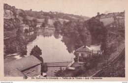 S1-87) ENVIRONS DE LIMOGES - VALLEE DE LA VIENNE - AUX PAQUERETTES - ( 2 SCANS ) - Limoges