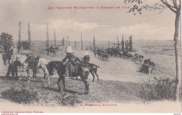 LES GRANDES MANOEUVRES D'ARMEES DE 1902 - MISE EN BATTERIE A  MONTLAUR - LABOUCHE TOULOUSE - Manoeuvres