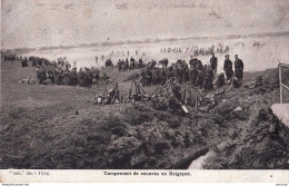 F11- CAMPEMENT DE ZOUAVES EN BELGIQUE - ( 2 SCANS ) - Guerre 1914-18