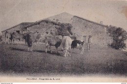 47) PALLIOLE - (COQILLE - PAILLOLES - LOT ET GARONNE) MAISON DE CAMPAGNE DE M. LORE - (HABITANTS AVEC BETAILS - 2 SCANS) - Autres & Non Classés