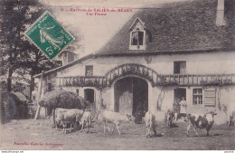 F23-64) ENVIRONS DE SALIES DE BEARN - UNE FERME   - ( HABITANTS  - BESTIAUX ) - Salies De Bearn