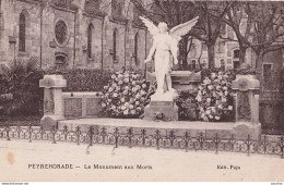 B13-40) PEYREHORADE (LANDES) LE MONUMENT AUX MORTS - EDIT. PUJO - ( 2 SCANS ) - Peyrehorade