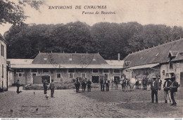 B3-77) ENVIRONS CHAUMES - FERME DE BEAUVOIR - ( ANIMEE - PAYSANS - BOEUFS - CHEVAL - 2 SCANS ) - Autres & Non Classés