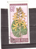 UNGHERIA LIGULARIA SIBIRICA - Used Stamps