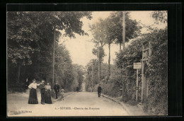 CPA Sèvres, Chemin Des Bruyeres  - Other & Unclassified