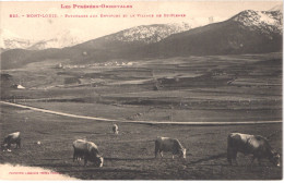 FR66 MONT LOUIS - Labouche 625 - Paturages Aux Environs Et Le Village De SAINT PIERRE - Animée - Belle - Sonstige & Ohne Zuordnung