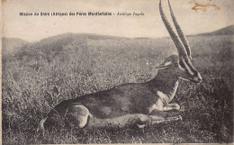 Malawi - Antelope Inyala - Publ. Mission Of The Shire Of The Montfort Fathers - Malawi