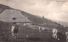 Chalet Du Suchet (VD) Troupeau De Vaches - Ed. A. Deriaz 2159 - Autres & Non Classés