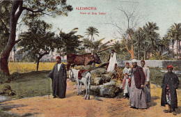 Egypt - ALEXANDRIA - View Of Sidi Gaber - Publ. The Cairo Postcard Trust  - Alexandrie