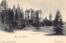 Schweiz - FLIMS (GR) Villa Silvana - Verlag A. Meller-Darms  - Flims