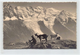 Le Mont-Blanc Vu De Grand-Praz (74) Berger Avec Chèvres - Ed. G. Tairraz  - Other & Unclassified