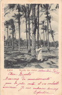 Egypt - CAIRO - Gathering Dates - Publ. Carlo Mieli  - Le Caire