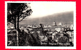 ITALIA - LIGURIA - Genova - Panorama Verso Ponente - Cartolina Viaggiata Nel 1961 - Genova (Genoa)