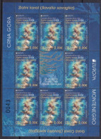 Montenegro 2024 Europa CEPT Underwater Fauna & Flora Gold Coral Sheetlet With Label MNH - 2024