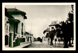 ALGERIE - AIN-TEMOUCHENT - QUARTIER VERDUN - Autres & Non Classés