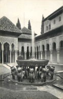 Spain Granada Alhambra Patio De Los Leones - Granada