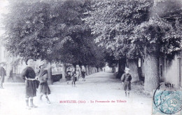 01 - Ain - MONTLUEL - La Promenade Des Tilleuls ( Animée ) - Montluel