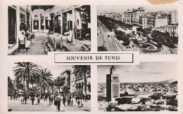 ***  TUNISIE  ***  Souvenir De Tunis  -- Petit Pli - Multi-vues - Tunisie