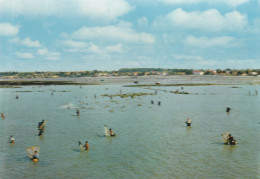 LA BERNERIE EN RETZ AU LARGE LA PECHE AUX CREVETTES 1968 CPSM 10X15 TBE - La Bernerie-en-Retz