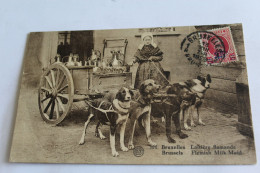 Belgique Bruxelles Laitiere Flamande  Voiture A Chiens Attelage 4 Chiens 1928 - Ambachten