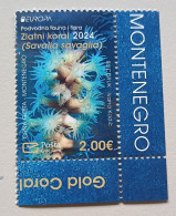 Montenegro 2024 Cept Stamp - 2024