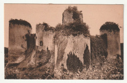 79 . Coudray Salbart . Le Château . La Vallée De La Sèvre Niortaise - Other & Unclassified