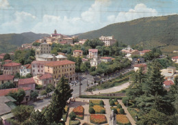 CARTOLINA  C22 FIUGGI M.750,FROSINONE,LAZIO-FONTE ANTICOLANA-PANORAMA-STORIA,MEMORIA,CULTURA,RELIGIONE,VIAGGIATA 1970 - Foggia