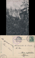 Ansichtskarte Bühlertal Schwarzwaldhotel Bärenstein LK Rastatt
 1906 - Buehlertal