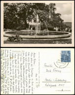 Ansichtskarte Friedrichroda Puschkinpark Springbrunnen 1957/1955 - Friedrichroda