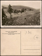 Oberwiesenthal Blick Auf Den Keilberg Und Das Dresdner Heim. 1924 - Oberwiesenthal