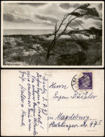 Ansichtskarte .Mecklenburg-Vorpommern Dünenpartie 1943  Gel. Stempel Baabe - Autres & Non Classés