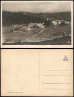 Ansichtskarte Titisee-Neustadt Feldbergerhof 1928 - Titisee-Neustadt